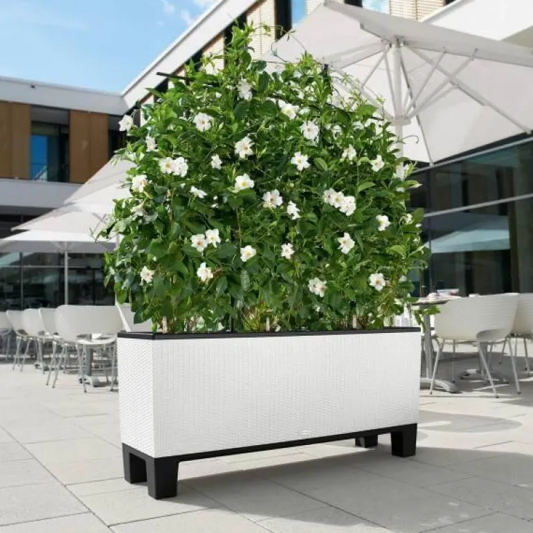 Lechuza Trio Cottage Plantekumme / sort-hvid-antrazit-mokka-sand-grå / 6 farver