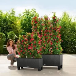 Lechuza Trio Cottage Plantekumme / sort-hvid-antrazit-mokka-sand-grå / 6 farver