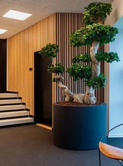 Mega krukker med hjul - sort eller grå - op til Ø.110cm