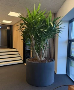 Mega krukker med hjul - sort eller grå - op til Ø.110cm