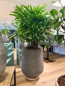 Nordic Style Krukke i Fiberbeton - H.40 + H.50cm + H.68cm