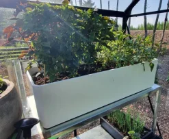 Plantinum / Lave Plantekummer i vandtæt polyesteren - 90cm