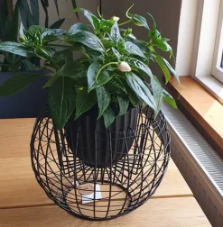 Potteskjuler i sort jern med jerntråde - Ø.26cm