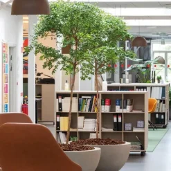 Rund lav fiber krukke / Plante bowle / sort + sandgrå