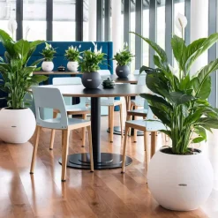 Rund Plantekrukke med indsats og selvvanding - Ø.50cm / Hvid - Sand - Slate