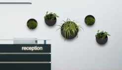 Rund vægampel / vægkrukke til planter og blomster - 3 størrelser - Sort + Hvid