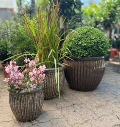 Runde glaserede krukker med ribber - sæt 3stk - 4 farver