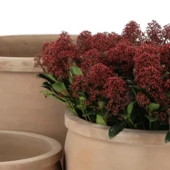 Runde Terracotta krukker med krave - Sæt 4stk