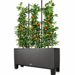 Sokkel eller Espalier til Lechuza Trio plantekumme