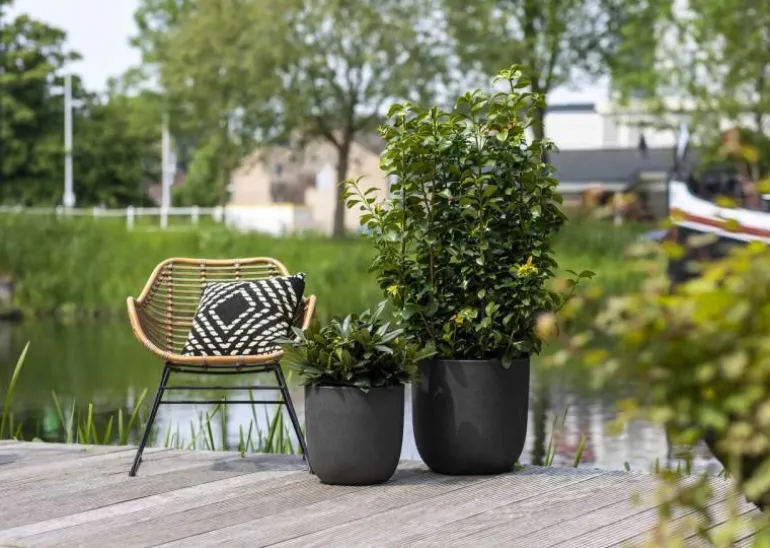 Sort glat Ball krukke smooth black - Livstidsgaranti