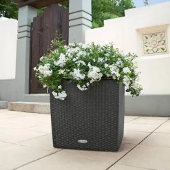 Sort Lechuza cottage 30x30 med selvvanding