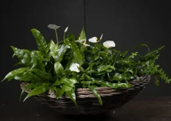 Stor dekorationsfad / rattanbakke i flettet rattan/pil - Ø.60cm