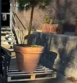 Stor Klassisk Italy Terracotta Krukke - Op til Ø.100cm