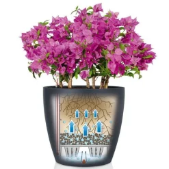 Stor Lechuza Krukke Ø.70 med selvvanding - sandbrun / Afhentning