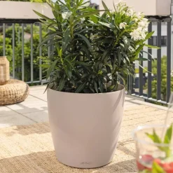 Stor Lechuza Krukke Ø.70 med selvvanding - sandbrun / Afhentning