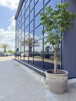 Stor Vintage Lerkrukke i støvgrå old look - Ø.60 + Ø.80