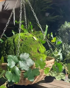 Store ampler / hængepotter i rattan med kæder - 4 størrelser