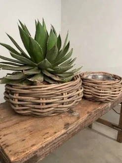 Store lave flettede pilekrukker med indsats Ø.40+Ø.60cm