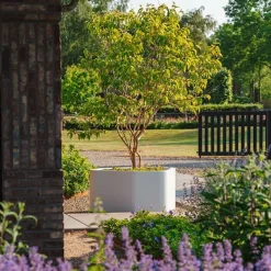 Store organic SHAPE plantekasser i glasfiber - Udendørs + Indendørs