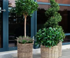 Store runde pilekrukker / rattankrukker med håndtag / Sæt 2stk eller 3stk