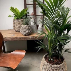 Store runde pilekurve - Sæt 3stk