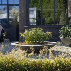 Store runde plantefade i glasfiber / polyester - Op til Ø.200cm