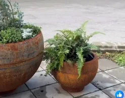 Store runde Uranus plantekrukker i cortenstål på løs fod/ring - Ø.60 + Ø.100