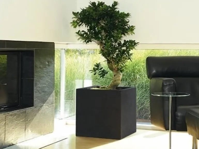 Store Sorte + Grå krukker - Firkantede plantekummer - Udendørs