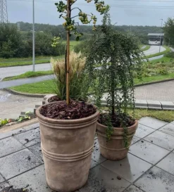 Terracotta Krukke H.53xØ.45 i Lys Choko