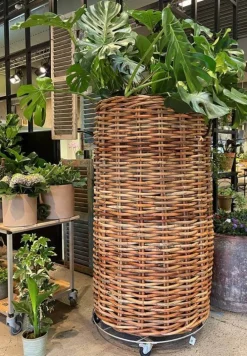 Trolley / Hjulsæt til rund rattan krukke