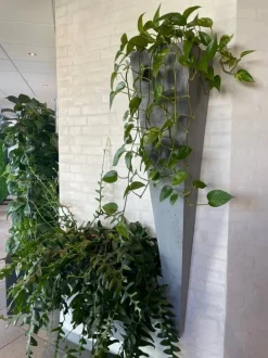 Vægkrukke i sandstone look - 150cm - hvid + grå + antrazit