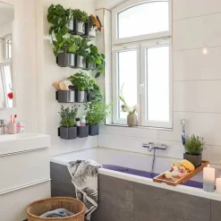 Vægpotter med selvvanding / Lechuza Green Wall