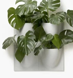 Wallhanger - Blomsterampel til væg - 5 farver